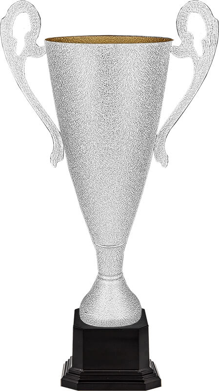 Кубок Буран