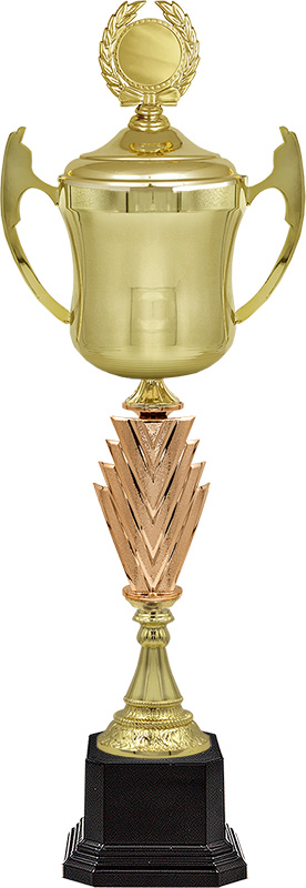 Кубок Аквилон