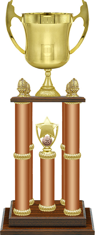 Кубок Одиссей (под бронзу)