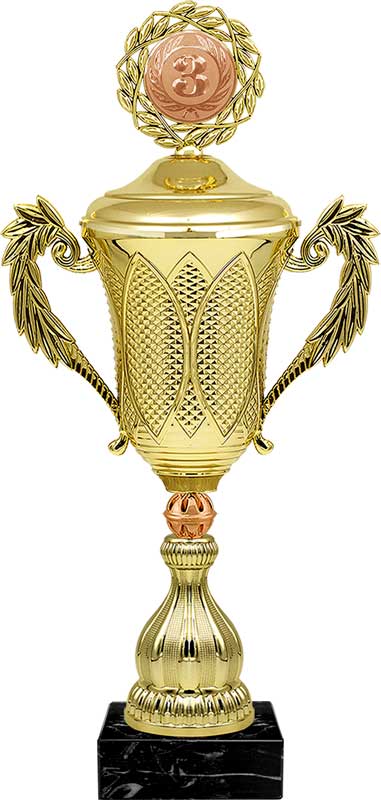 Кубок Альянс