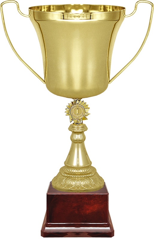 Кубок Ампер 1 место