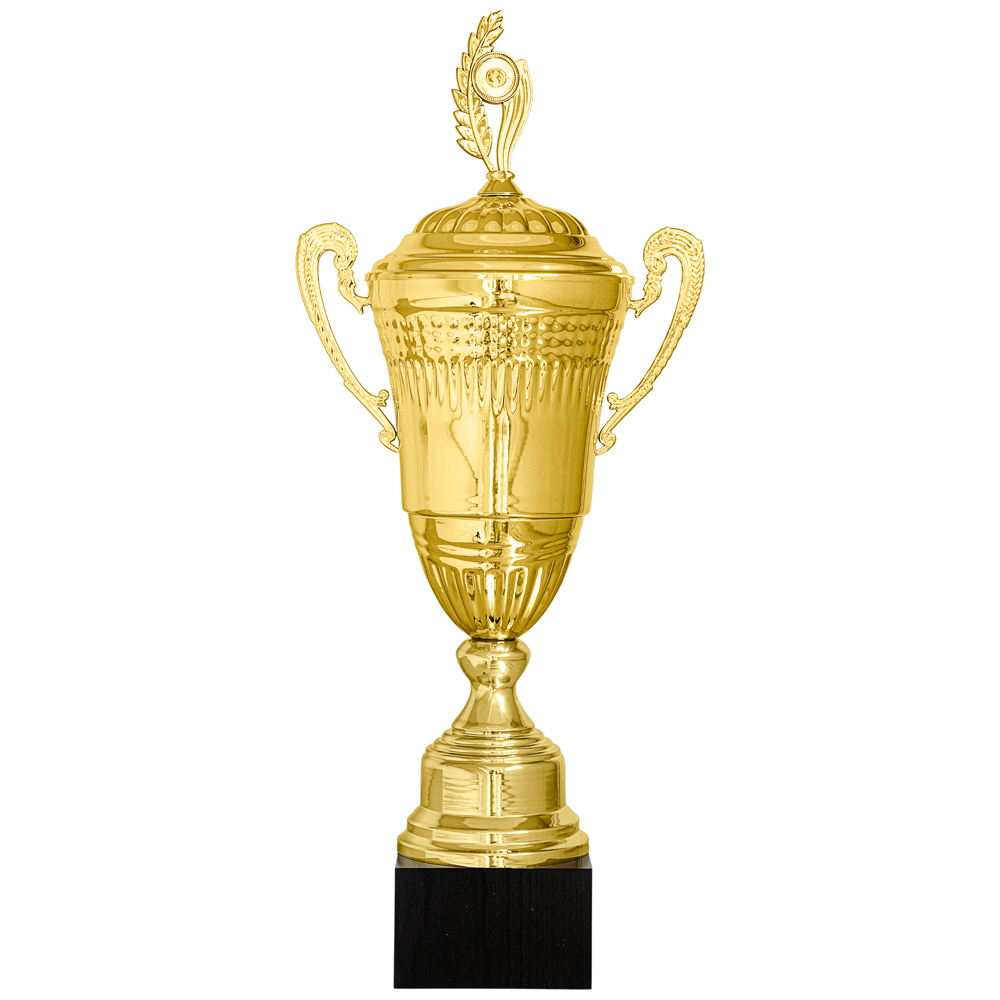 Кубок KB 1020 A (H- 79 см, D- 240 мм)