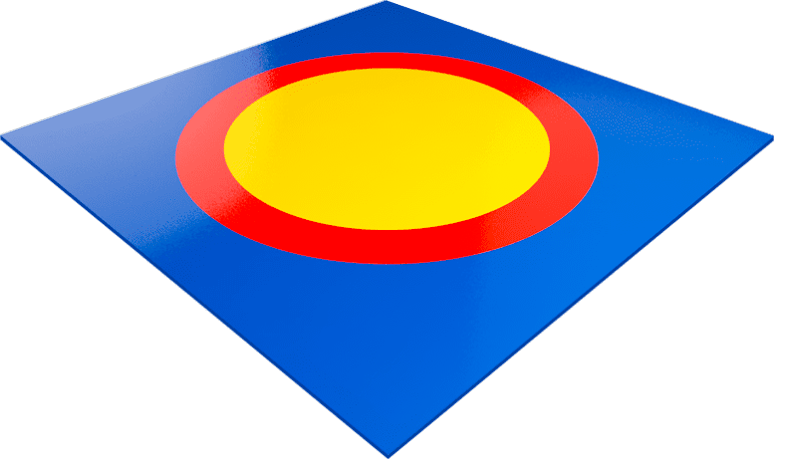 Борцовский ковер НПЭ 2x1 м