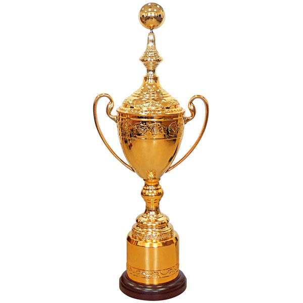 Кубок HBDQ A (H-106 см, D-260 мм)