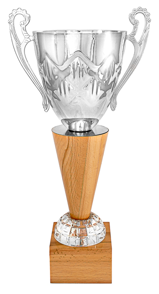 Кубок KB 1105 B (H-48,5 см, D-160 мм)