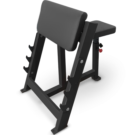 Скамья Скотта BRONZE GYM PARTNER AL-303