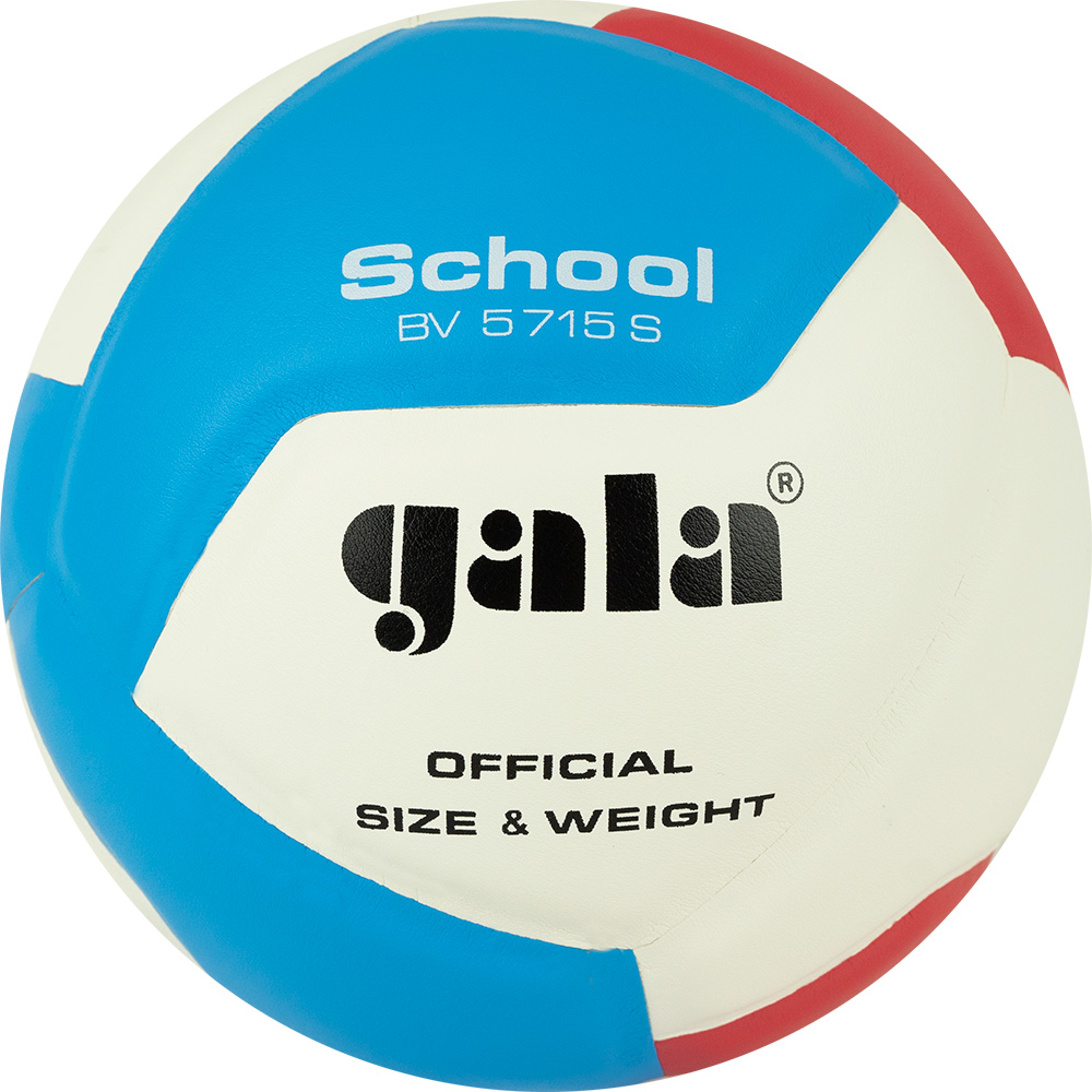 Мяч вол. GALA School 12, BV5715S, р. 5, син.кожа ПУ, под.сл. пена, клеен,бут.кам,бел-гол-красн