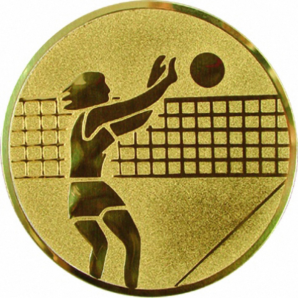 Эмблема D1-A7/G волейбол (D-25 мм)