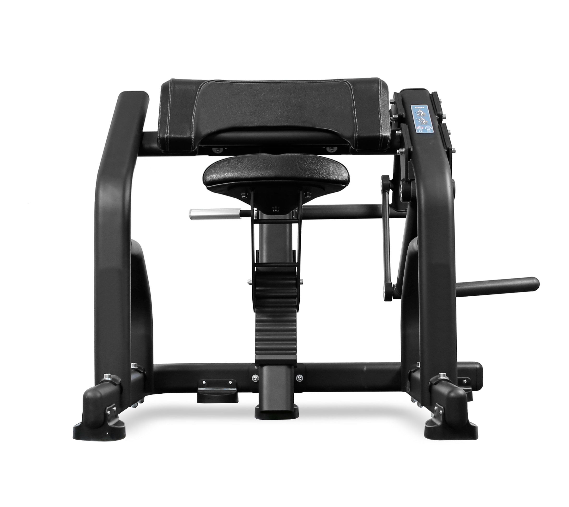 BRONZE GYM PL-1713 Бицепс