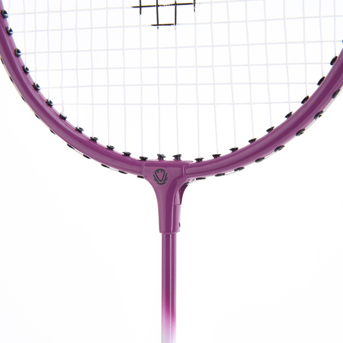 Набор для бадм. TORRES Leisure Set, BD23520, для начинающ.,стал. стерж, алюм. обод, со струнами,фиол