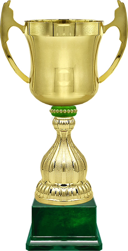 Кубок Миклухо