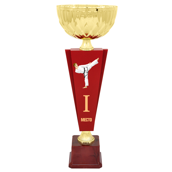 Кубок KB 6022 A карате (H- 39,5 см, D- 140 мм)