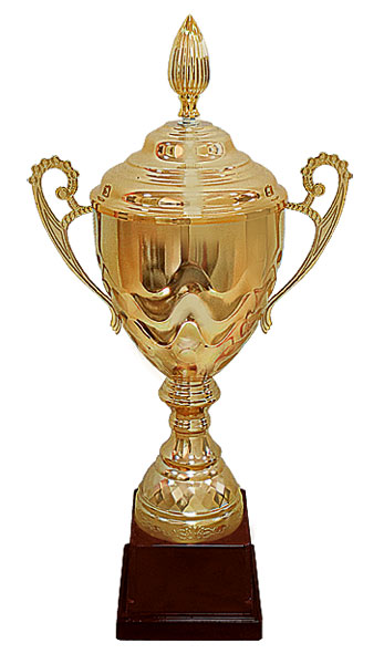 Кубок HB 5 B (H-61 см, D-200 мм)