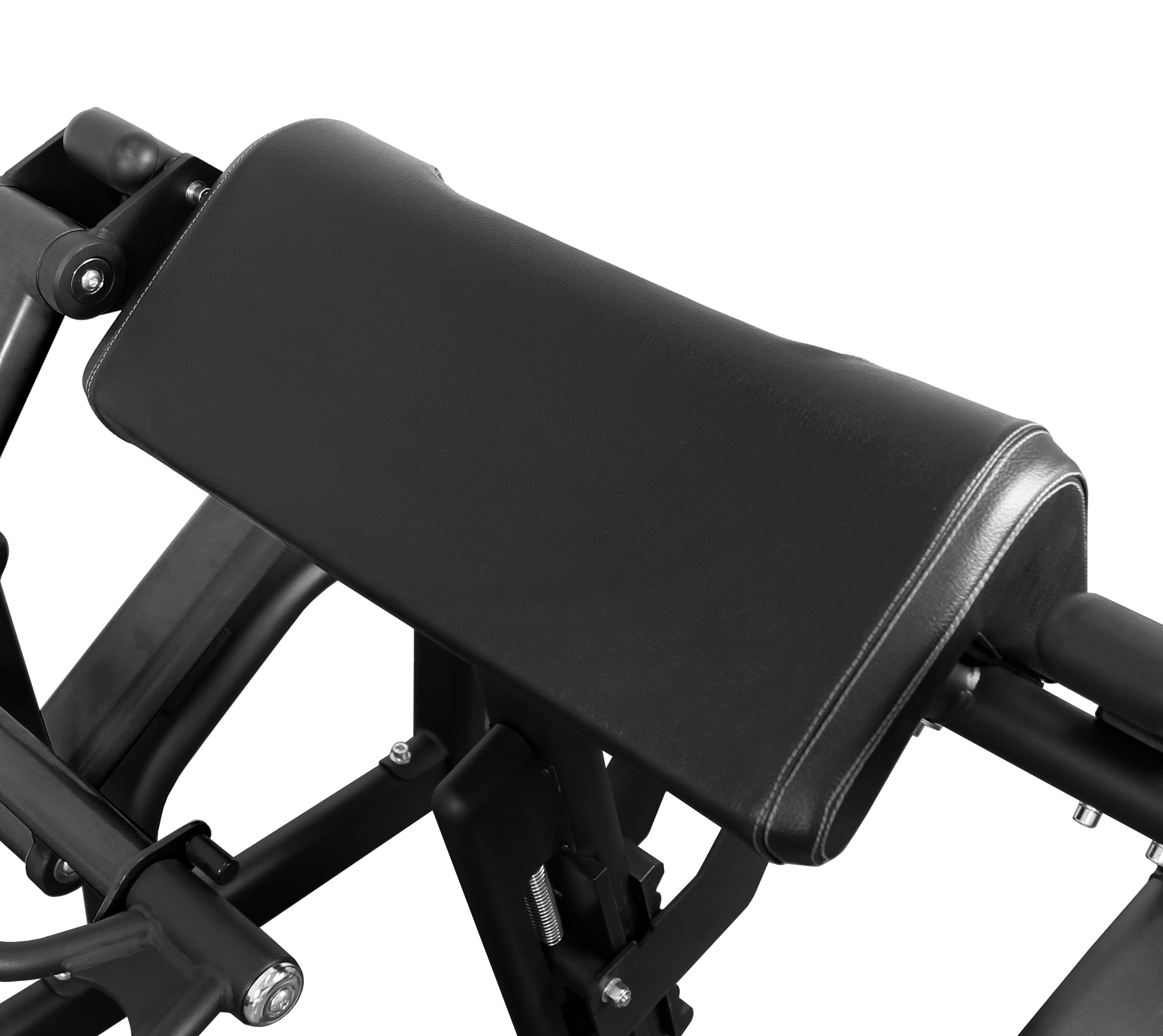 BRONZE GYM PL-1713 Бицепс