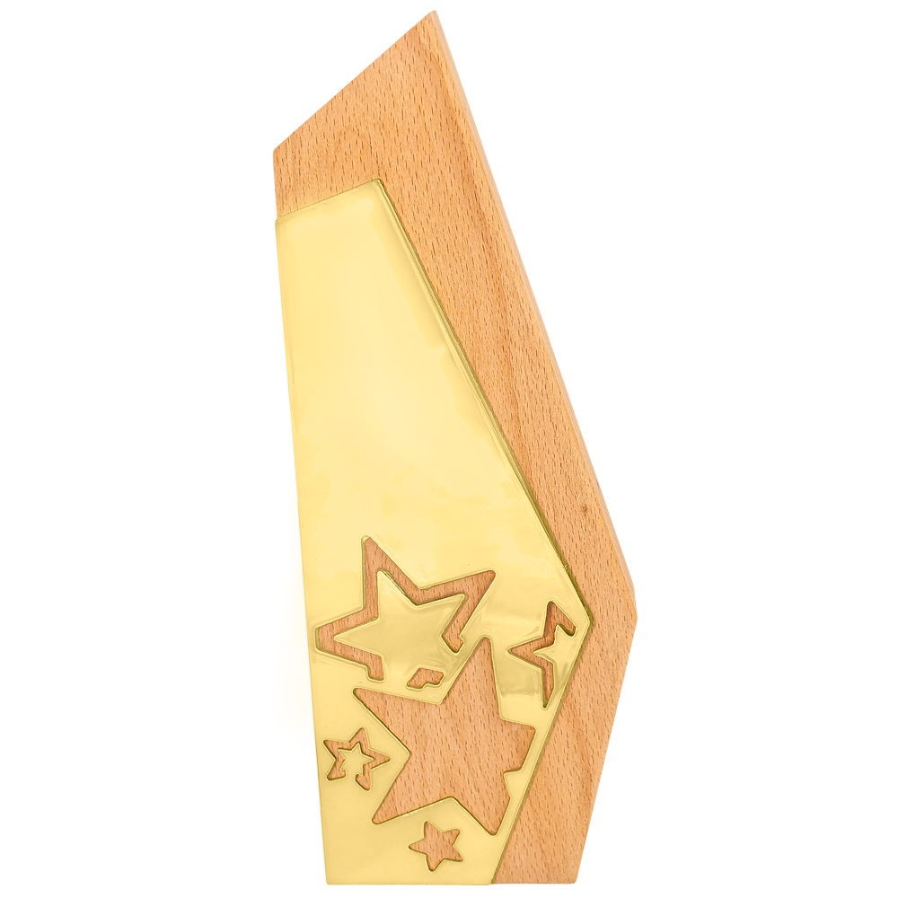 Награда WD009 (H-280мм)