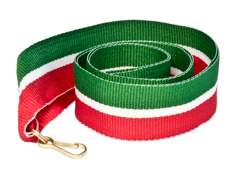 Лента для медали V2-TA Респ. Татарстан (22 мм)