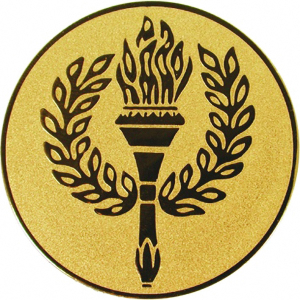 Эмблема D2-A40/G факел (D-50 мм)