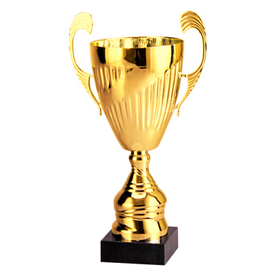 Кубок 7098 C/N (H- 47 см, D-200 мм)