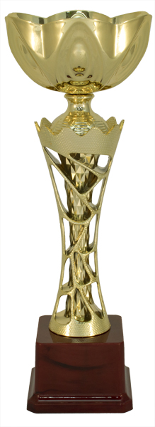 Кубок KB 8024 A (H-34,5 см, D-140 мм)