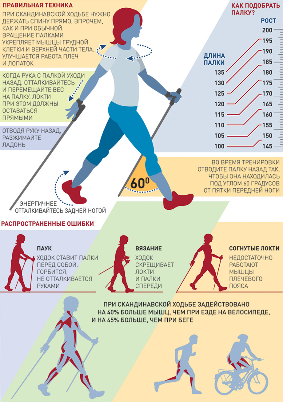 Палки для скандинавской ходьбы Ergo Nordic,  Е-0673, алюмин.сплав, амортиз., 110-140 см, синий