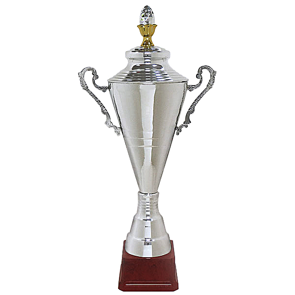 Кубок HB 2174 N/B (H-57 см, D-160 мм)