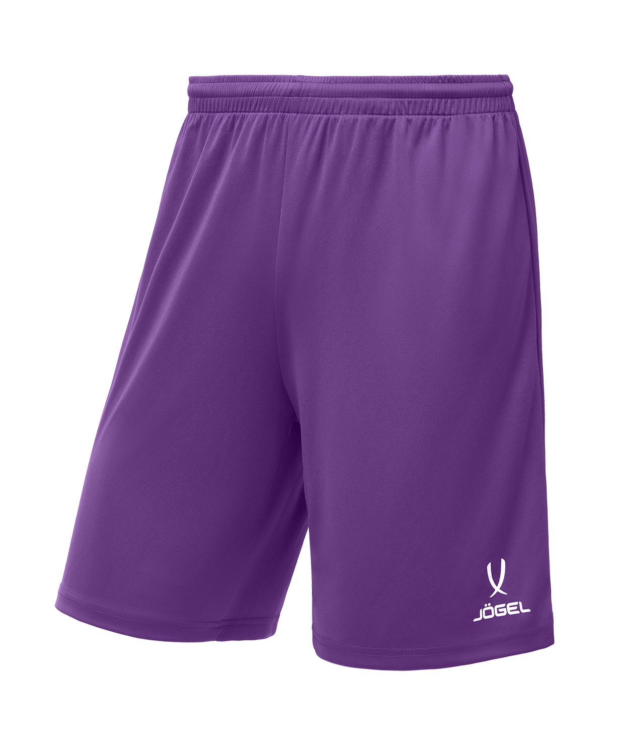 Шорты баскетбольные JOGEL CAMP Basic, фиолетовый