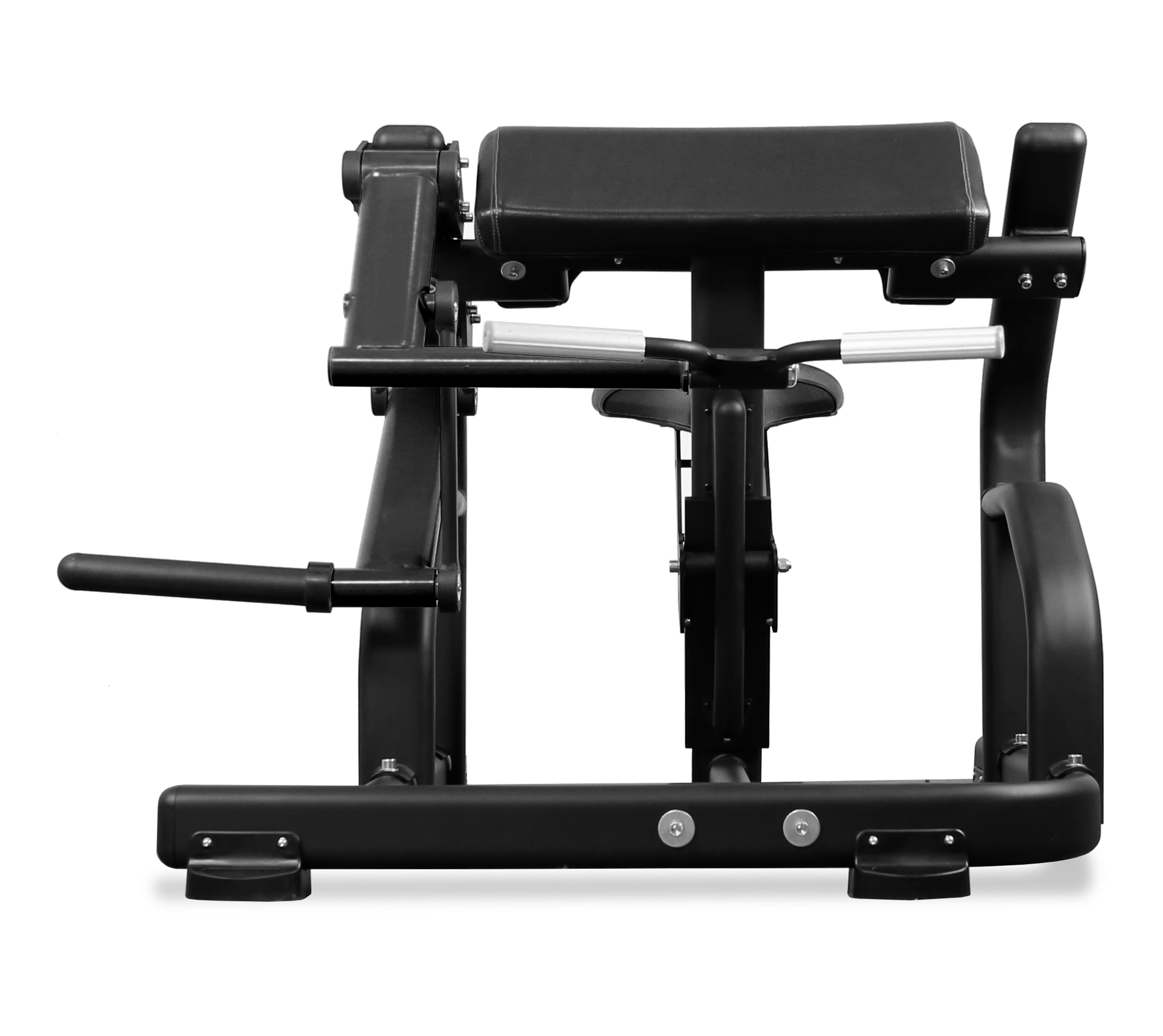 BRONZE GYM PL-1713 Бицепс