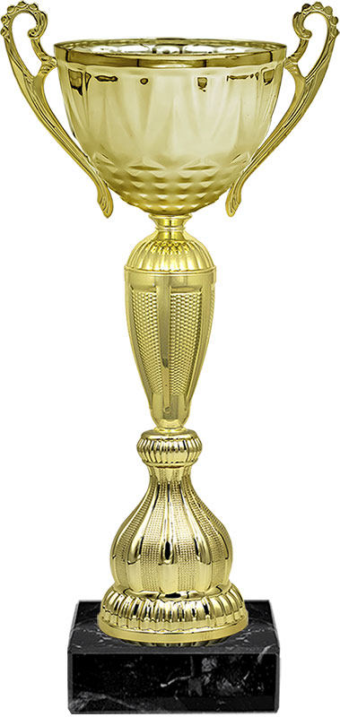 Кубок Рамиль