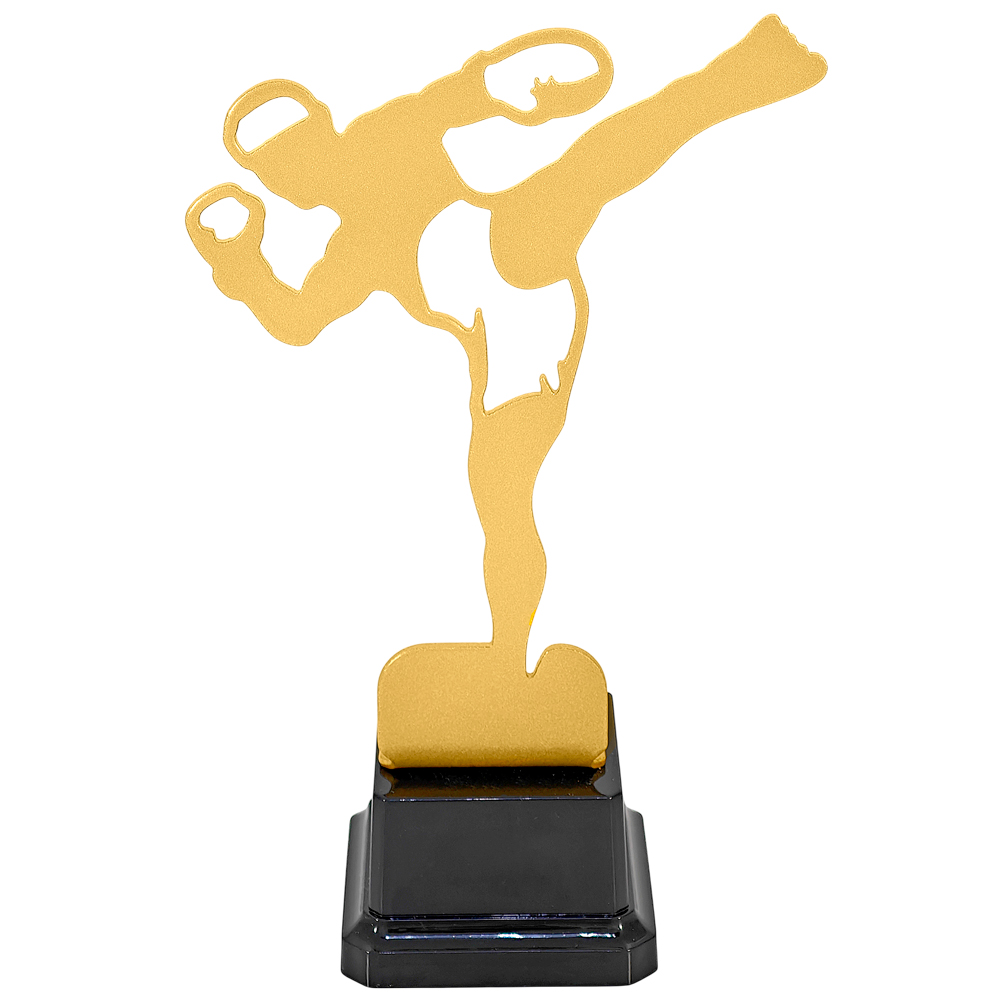 Приз ST 04021 кикбоксинг  H-19 см