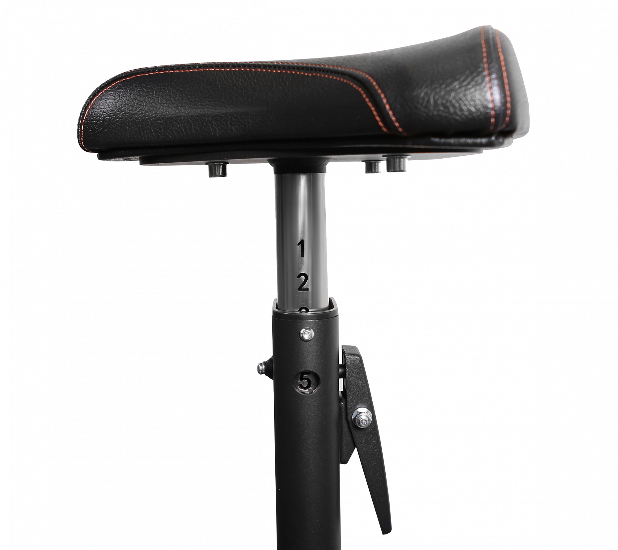 BRONZE GYM BR-1007 Скамья Скотта