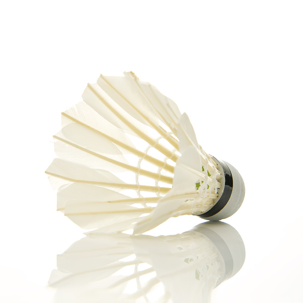 Воланы для бадминтона DOUBLE FISH JINQUE 09 (перо),уп.12 шт.сред.скор., белый