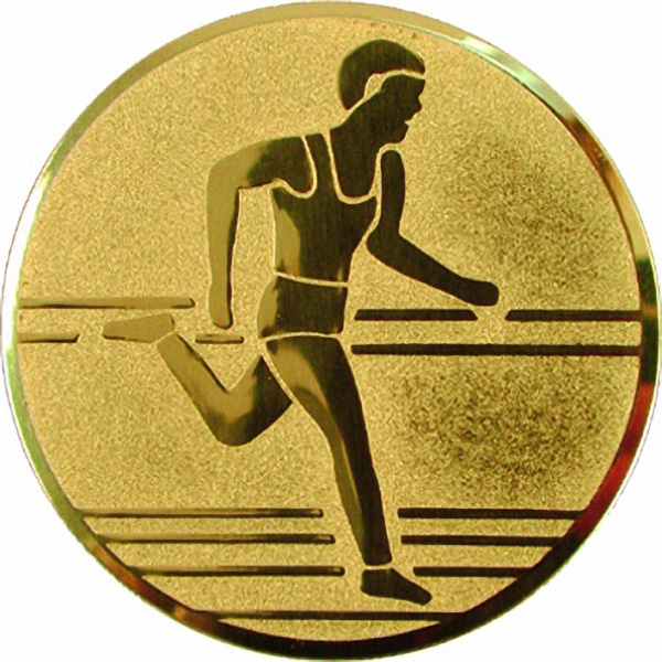 Эмблема D2-A30/G бег (D-50 мм)