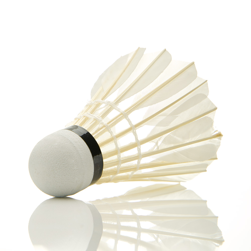 Воланы для бадминтона DOUBLE FISH JINQUE 09 (перо),уп.12 шт.сред.скор., белый